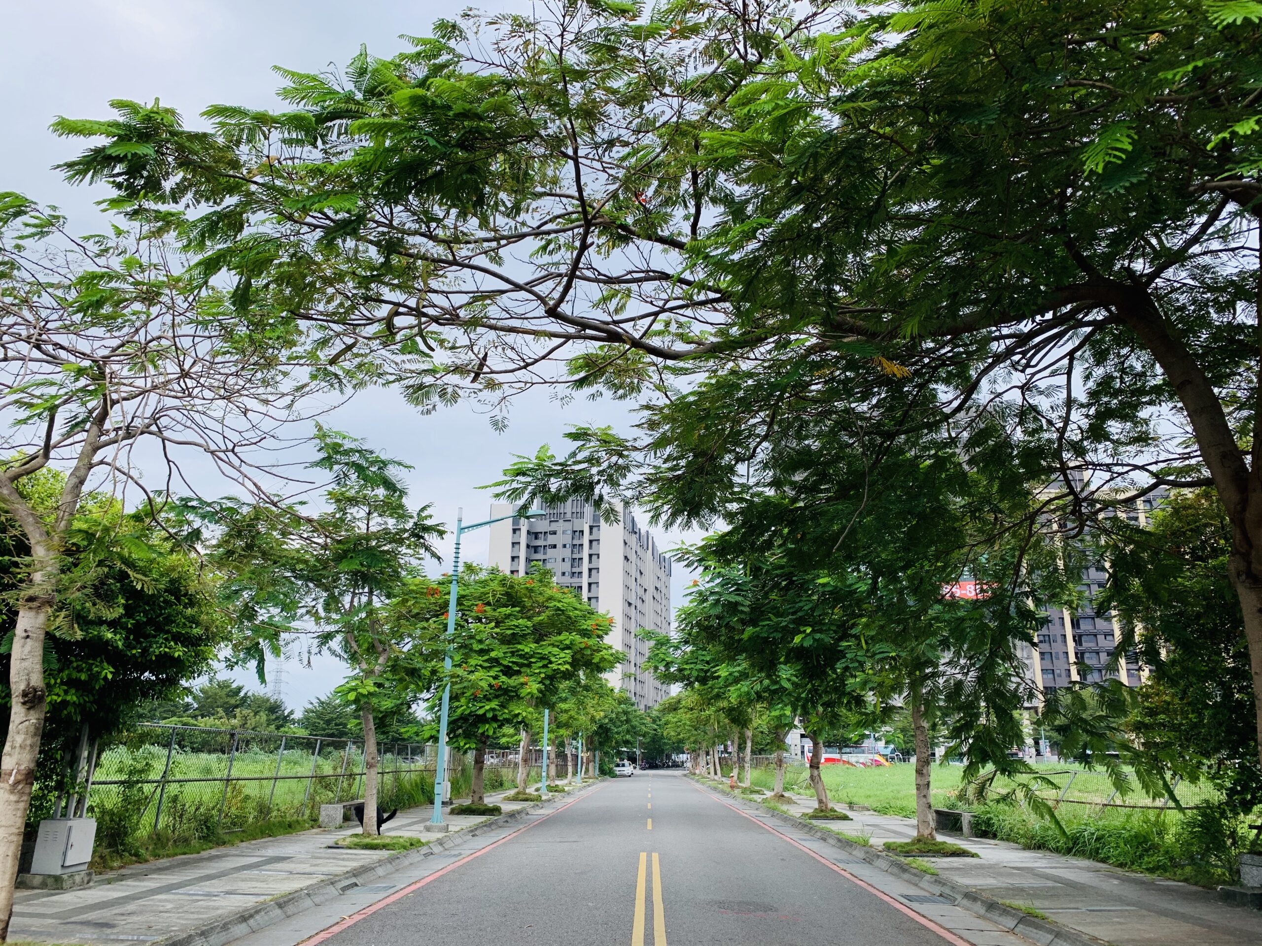 江翠北側重劃區_蘇建豪的幸福好所在_板橋房仲